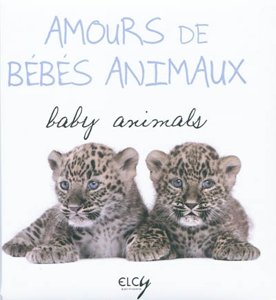 Amours de bébés animaux. Baby animals