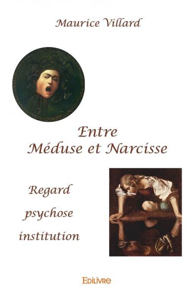 Entre méduse et narcisse : Regard, psychose, institution