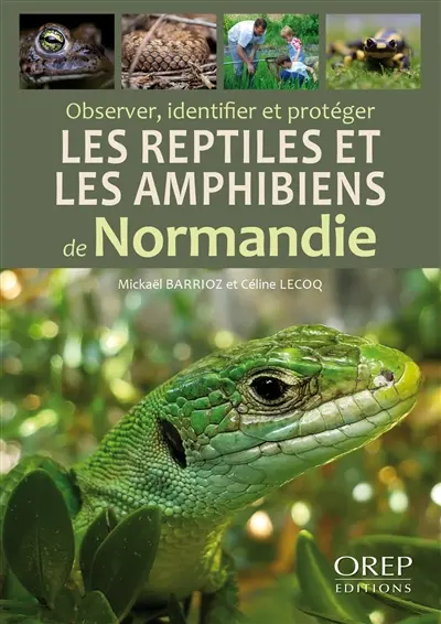 Observer, identifier et protéger les reptiles et les amphibiens de Normandie