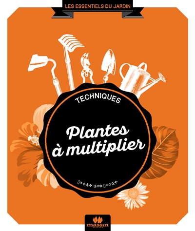 Plantes à multiplier : toutes les techniques étape par étape