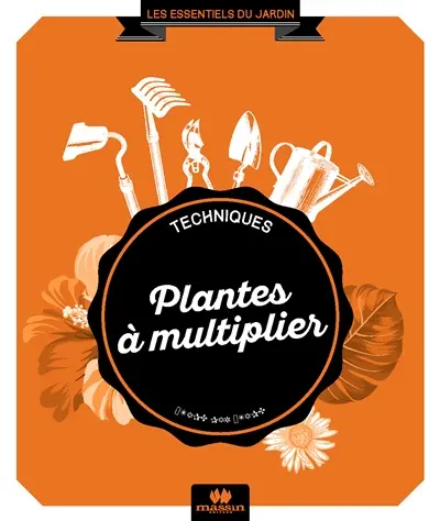 Plantes à multiplier : toutes les techniques étape par étape