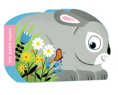 Un petit lapin