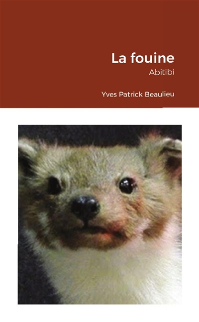 La fouine : Abitibi