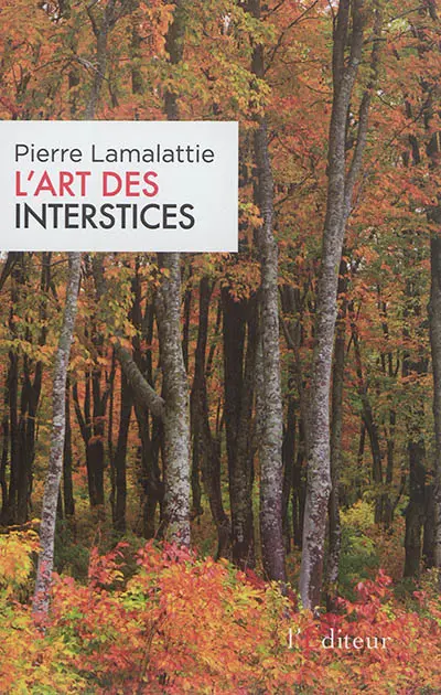L'art des interstices