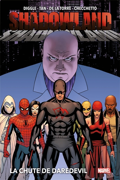 Shadowland. Vol. 1. La chute de Daredevil