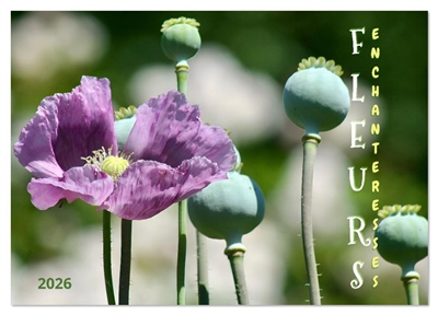 DES FLEURS ENCHANTERESSES...