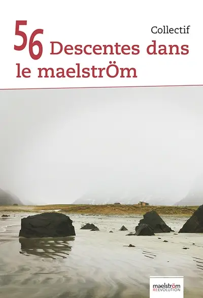 56 descentes dans le maelström