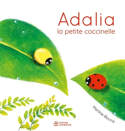 Adalia : la petite coccinelle