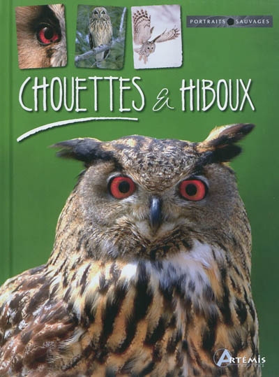 Chouettes & hiboux