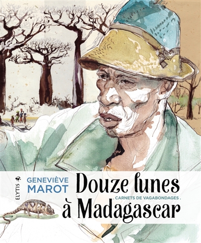 Douze lunes à Madagascar : carnets de vagabondages
