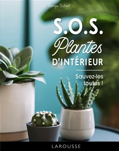 SOS plantes d'intérieur : sauvez-les toutes !