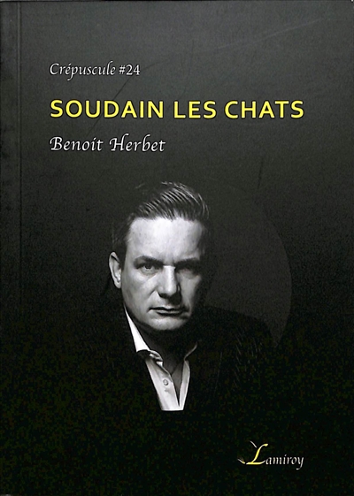 Soudain les chats
