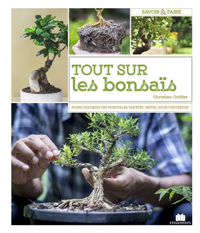 Les bonsaïs : toutes les techniques pour bien débuter et bien s'en occuper