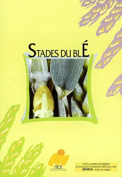 Stades du blé
