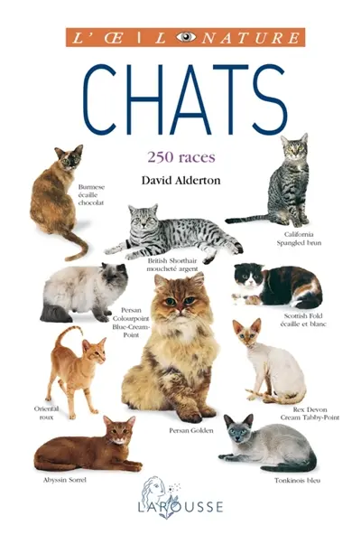 Chats : 250 races