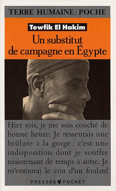 Un substitut de campagne en Egypte : journal d'un substitut de procureur égyptien