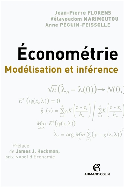 Econométrie : modélisation et inférence