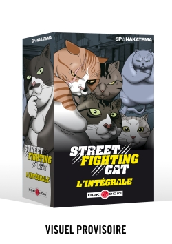 Street fighting cat