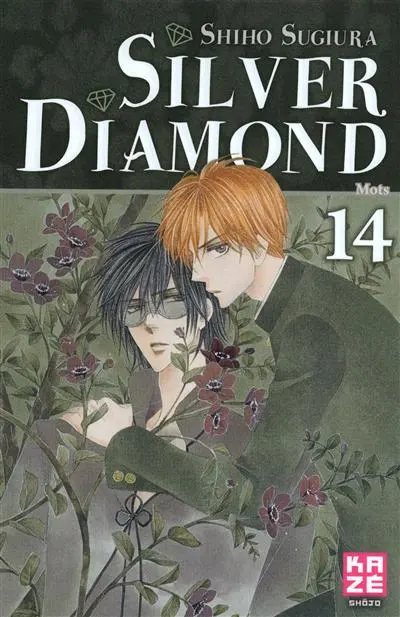 Silver Diamond. Vol. 14. Mots