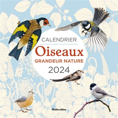 Oiseaux grandeur nature : calendrier mural 2024