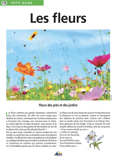 Les fleurs