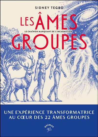 Les âmes groupes : le chaînon manquant de l'incarnation : une expérience transformatrice au coeur des 22 âmes groupes