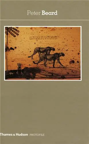 Peter Beard (Photofile)