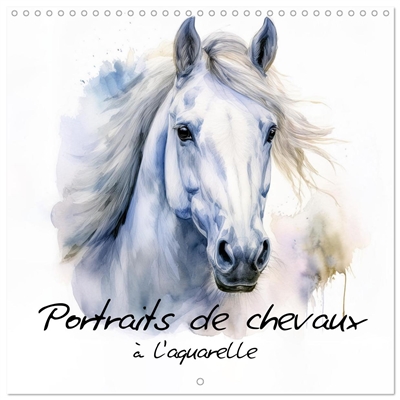 Portraits de chevaux à...