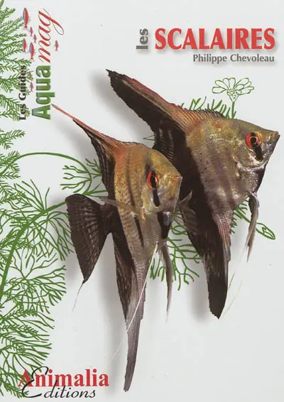 Les scalaires : le genre Pterophyllum
