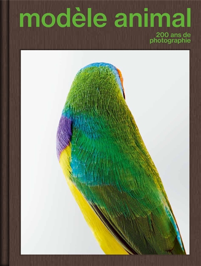 Modèle animal, 200 ans de...