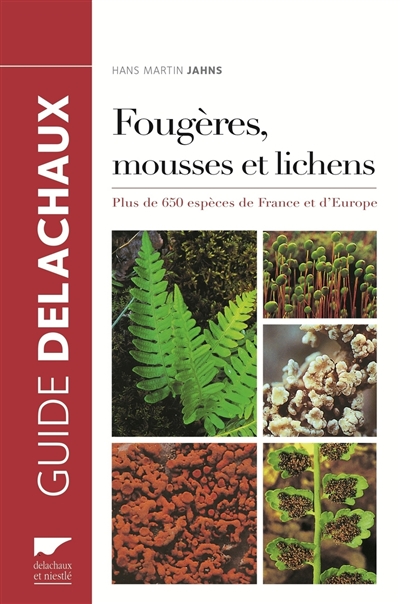 Guide des fougères, mousses et lichens : plus de 650 espèces de France et d'Europe