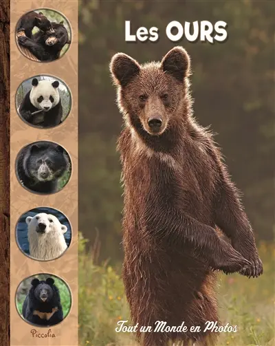 Les ours