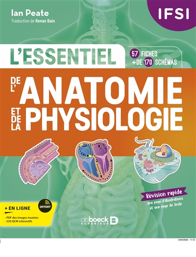 L'essentiel de l'anatomie et de la physiologie : IFSI