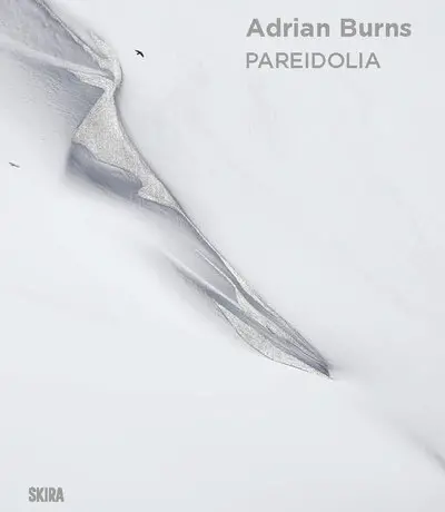 Adrian Burns : pareidolia