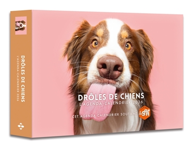 Agenda : Calendrier Drôles...