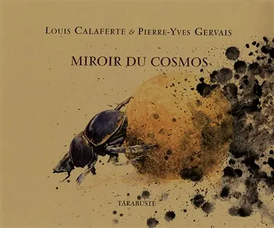 Miroir du cosmos