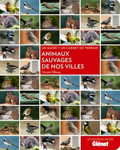 Animaux sauvages de nos villes : un guide + un carnet de terrain
