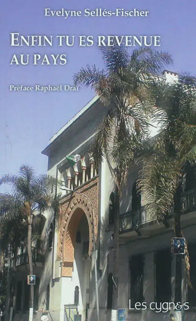 Enfin tu es revenue au pays : intime chronique d'un retour