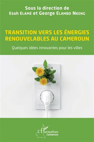 Transition vers les énergies renouvelables au Cameroun : quelques idées innovantes pour les villes