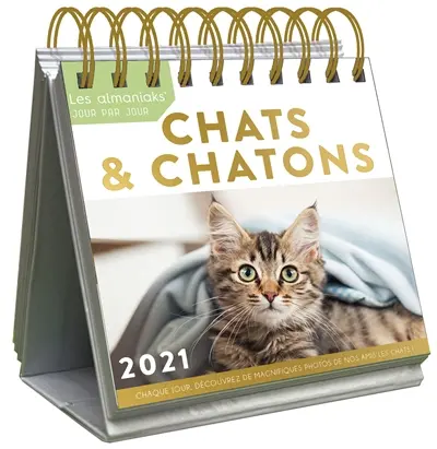 Chats & chatons 2021