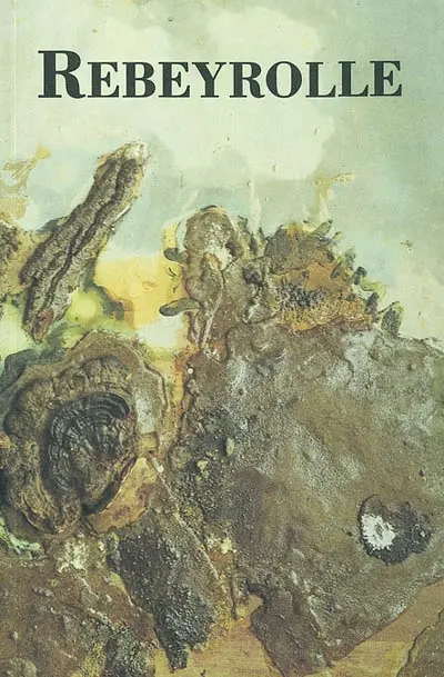 Rebeyrolle : peintures 1963-1980