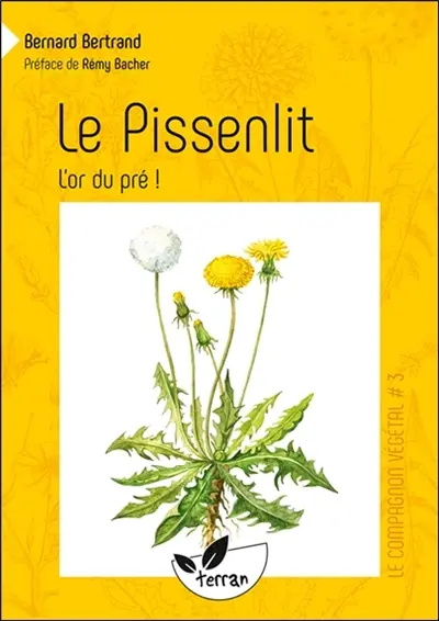 Le pissenlit, l'or du pré