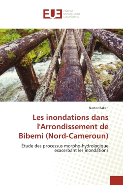 Les inondations dans...