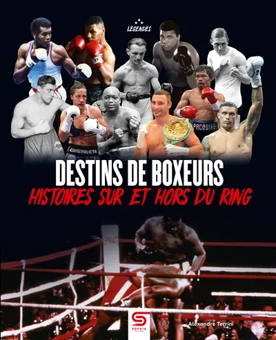 Destins de boxeurs : histoires sur et hors du ring