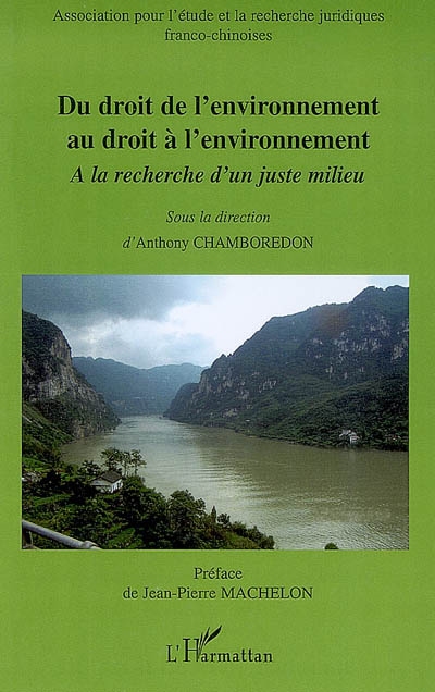 Du droit de l'environnement au droit à l'environnement : à la recherche d'un juste milieu