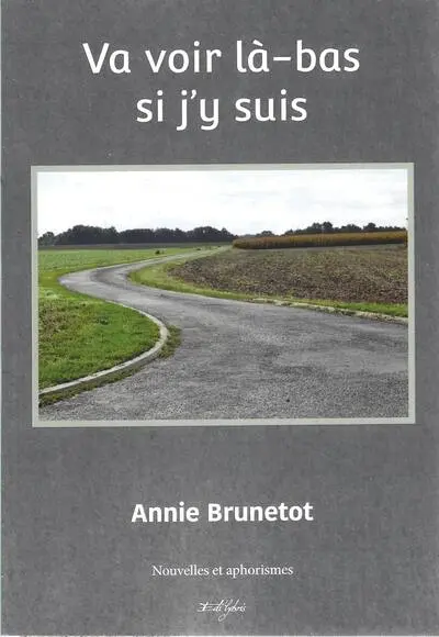 Va voir là-bas si j'y suis : nouvelles et aphorismes