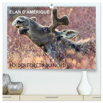 ELAN D'AMERIQUE : ROI DES...