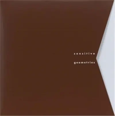 Sensitive Geometries : Brazil 1950s-1980s