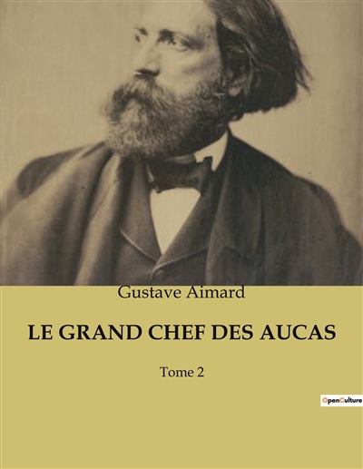 LE GRAND CHEF DES AUCAS : Tome 2