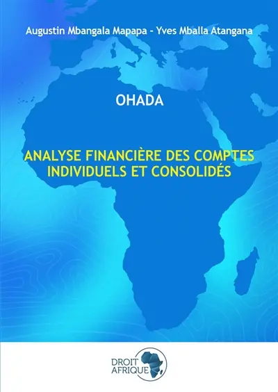 Analyse financière des comptes individuels et consolidés